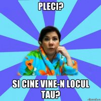 pleci? si cine vine-n locul tau?