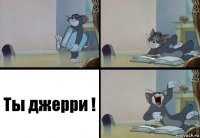 Ты джерри !