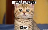 ну дай сасиску котэ