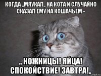 когда ,,мяукал,, на кота и случайно сказал ему на кошачьем - ,, ножницы! яйца! спокойствие! завтра!,,