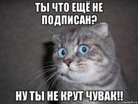 ты что ещё не подписан? ну ты не крут чувак!!