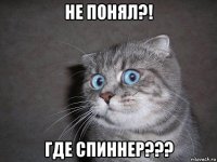 не понял?! где спиннер???