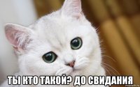  ты кто такой? до свидания