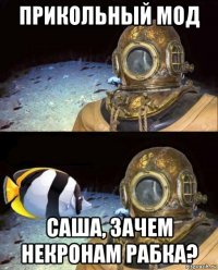 прикольный мод саша, зачем некронам рабка?