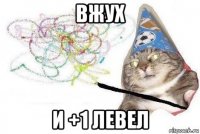 вжух и +1 левел