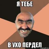 я тебе в ухо пердел