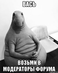 вась возьми в модераторы форума