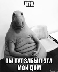 чта ты тут забыл эта мой дом