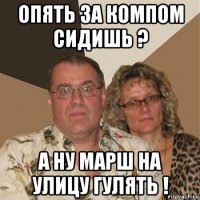 опять за компом сидишь ? а ну марш на улицу гулять !