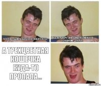 я готов гладить далеко не любого кота... У нас во дворе они такие противные, в основном...дохлые А трехцветная кошечка куда-то пропала...