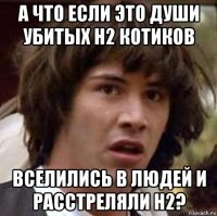 а что если это души убитых н2 котиков вселились в людей и расстреляли н2?