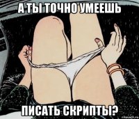 а ты точно умеешь писать скрипты?