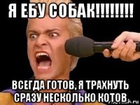 я ебу собак!!!!!!!! всегда готов, я трахнуть сразу несколько котов