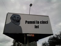 Pumni la cinci lei