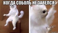 когда соболь не завелся: 