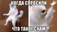 когда спросили что такое скам