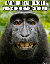 саня как ты надоел уже слюнями своими 