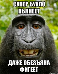 супер бухло пьянеет даже обезъяна фигеет