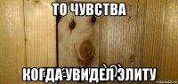 то чувства когда увидел элиту