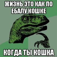 жизнь это как по ебалу кошке когда ты кошка