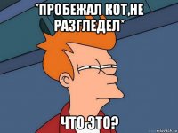 *пробежал кот,не разгледел* что это?