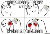 когда проверяя отчет увидел hydrodynamic model