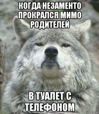 когда незаменто прокрался мимо родителей в туалет с телефоном