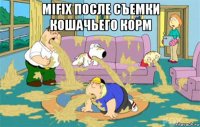 mifix после съемки кошачьего корм 