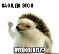  kto koluziy?