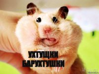 УХТУЩКИ БАРУХТУШКИ