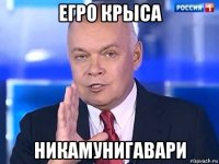 егро крыса никамунигавари