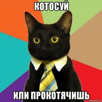 котосуй или прокотячишь