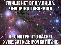 лучше нет влагалища, чем очко товарища не смотри что пахнет хуже, зато дырочка поуже