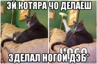 эй котяра чо делаеш зделал ногой дэб*