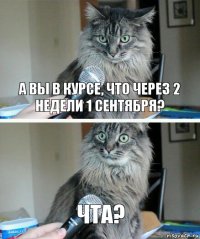 А вы в курсе, что через 2 недели 1 сентября? Чта?