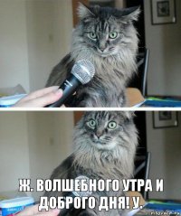  ж. волшебного утра и доброго дня! у.