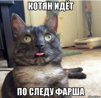 котян идёт по следу фарша