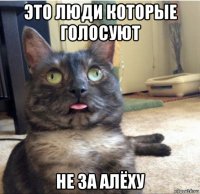 это люди которые голосуют не за алёху