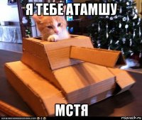 я тебе атамшу мстя