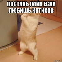 поставь лайк если любишь котиков 