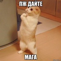 пж дайте мага