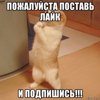 пожалуйста поставь лайк и подпишись!!!