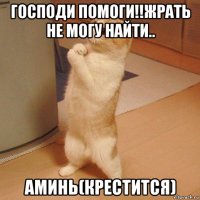 господи помоги!!жрать не могу найти.. аминь(крестится)