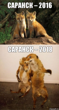 Саранск – 2016 Саранск – 2018