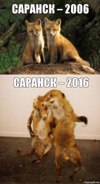 Саранск – 2006 Саранск – 2016