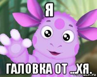 я галовка от ...хя.