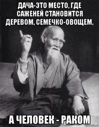 дача-это место, где саженей становится деревом, семечко-овощем, а человек - раком