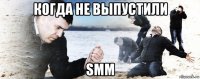 когда не выпустили smm