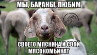 мы, бараны, любим своего мясника и свой мясокомбинат