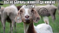 вы не бараны и никогда ими не были 